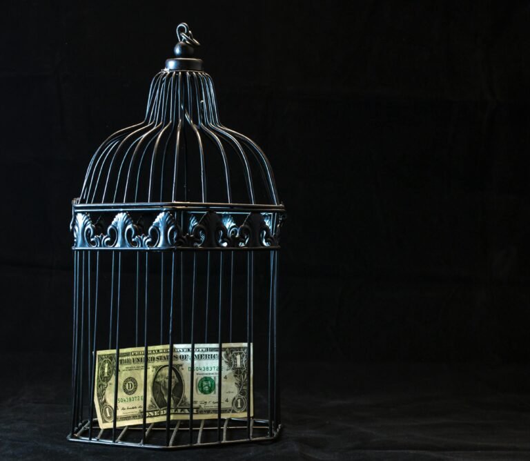 A dollar bill imprisoned in a decorative cage symbolizing financial confinement.